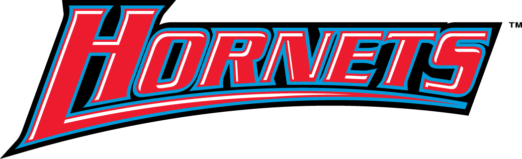 Delaware State Hornets 2004-Pres Wordmark Logo v3 iron on transfers for clothing